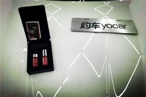 Nano Crystal Coating Si-811